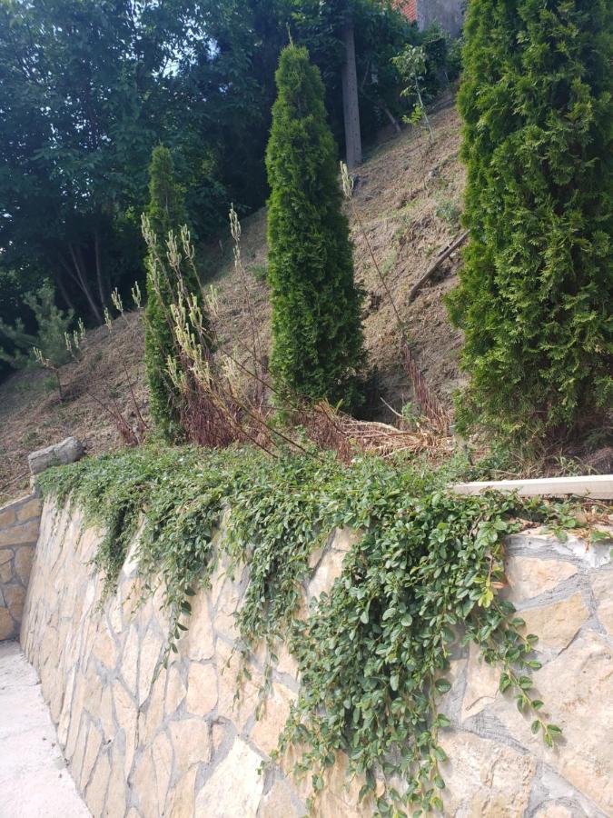 Vila Slankamenka Stari Slankamen Εξωτερικό φωτογραφία