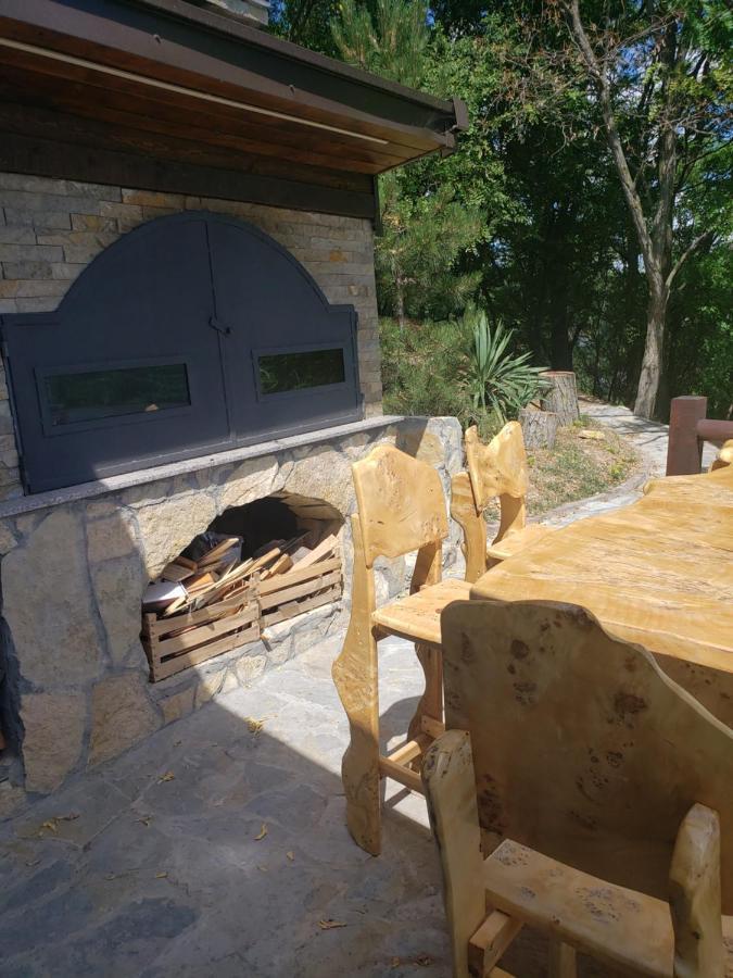Vila Slankamenka Stari Slankamen Εξωτερικό φωτογραφία